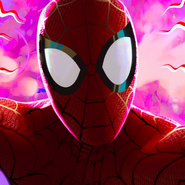 Peter B. Parker / Spider-Man en Spider-Man: Un nuevo universo