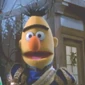 Bert-Cinderelmo