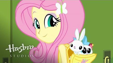 My Little Pony Chicas de Equestria - Conoce a Fluttershy