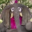 PájaraElefante-LaBúsquedadelaVaritaMágica