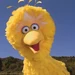 Big Bird (Una aventura mágica de Halloween)