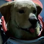 Cosmo en Marvel's Guardians of the Galaxy.