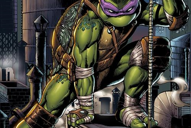 https://static.wikia.nocookie.net/doblaje/images/f/f6/Donatello_%28IDW%29.png/revision/latest/smart/width/386/height/259?cb=20230302133905&path-prefix=es