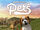 PlayStation Vita Pets