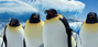 Ancianos en Happy Feet: El pingüino.