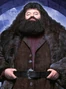 Rubeus Hagrid en las 6 películas de Harry Potter (2004-2011) (redoblaje argentino).