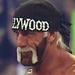 WWEMRM Hulk Hogan 2000