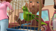 Pet bird doc mcstuffins