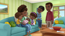 Doc mcstuffins bringing home baby on sale