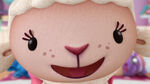 Lambie close-up