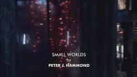 Small Worlds