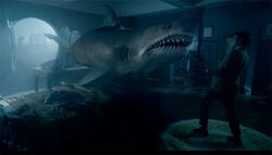 Requin Xmascarol