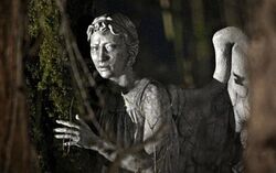 Weeping angel 1627630c