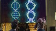 DNA