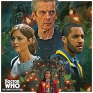 «В ночном лесу»