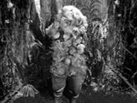 Растения Варга