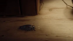 Uno de los insectos
