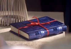 Подарок Доктора - будущий дневник Ривер Сонг