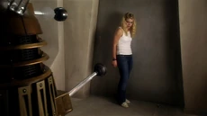 Роза в ловушке