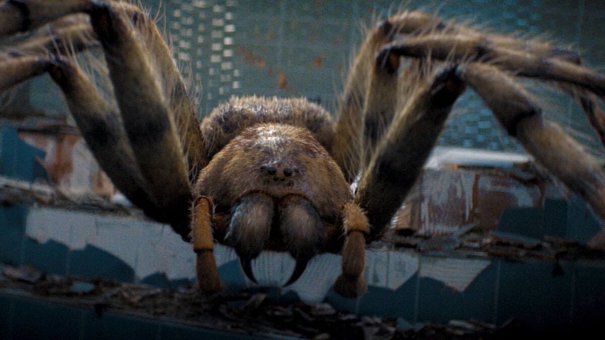 Арахнид паук гигантский
