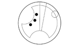 Gallifreyan Wer