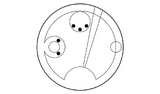 Gallifreyan Welche