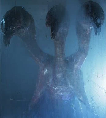 456 Doctor Who Torchwood Wiki Fandom