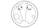 Gallifreyan Solchen