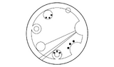 Gallifreyan Derselben