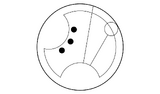 Gallifreyan Wir