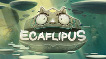 Ecaflipus2