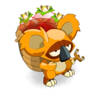 Morello Cherry Koalak