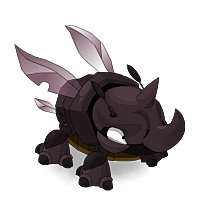 Wild Ebony Rhineetle