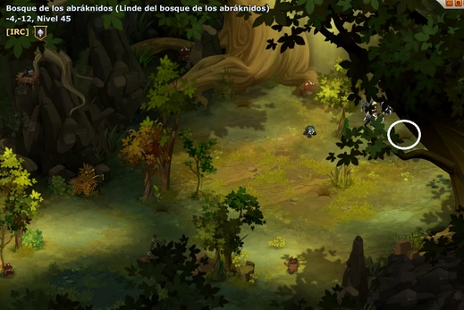 Camino3