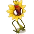 Ausgehungertes Sonnenblümchen