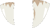 Rattenfangzähne