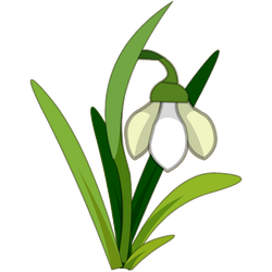 Snowdrop Plant Dofus Wiki Fandom