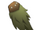 Boowoldlum Cloak