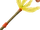Stab des goldenen Scarabiestes