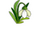 Snowdrop