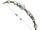 Arkanum Bow
