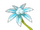 Snow Star