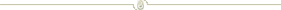 Trennlinie.png