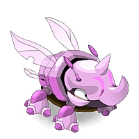 Wild Orchid Rhineetle