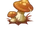 Amostra de Cogumelo