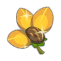 Magic Famished Sunflower Petal