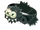 Arachnee Set