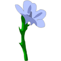 Flax Flower