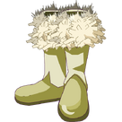Moon Boots
