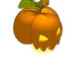 Pumpkwin